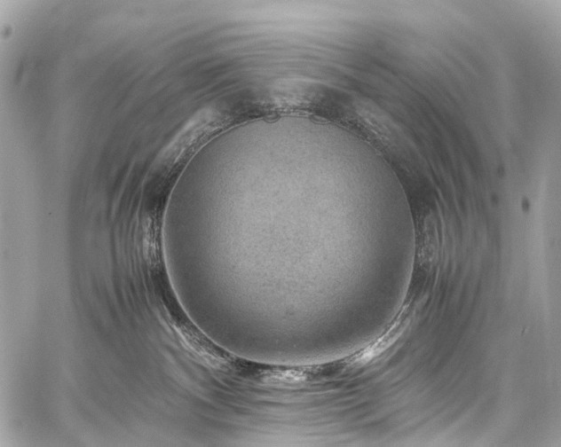 X0000059250140200510171507