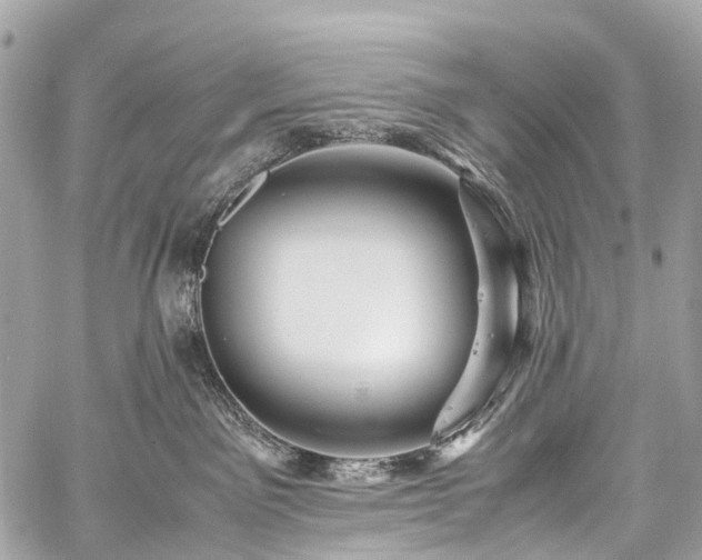 X0000059250141200510171507