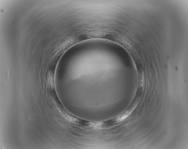 X0000059250143200510171507