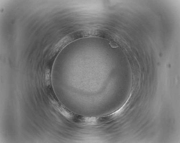 X0000059250144200510171507