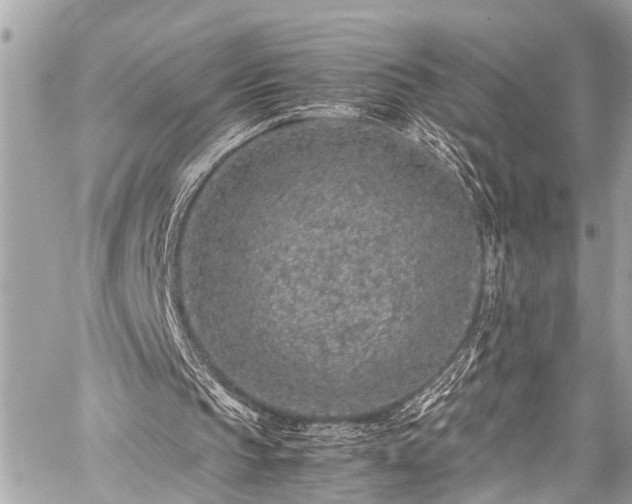 X0000059250145200510171506