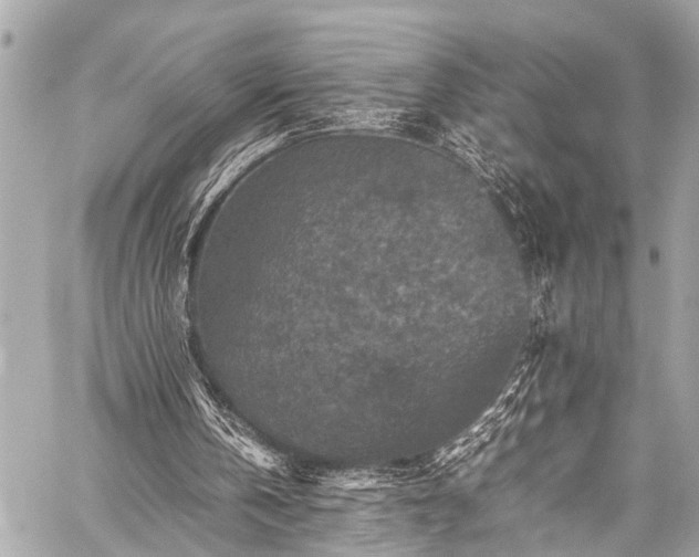 X0000059250146200510171506