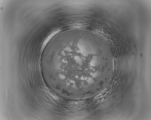 X0000059250147200510171506