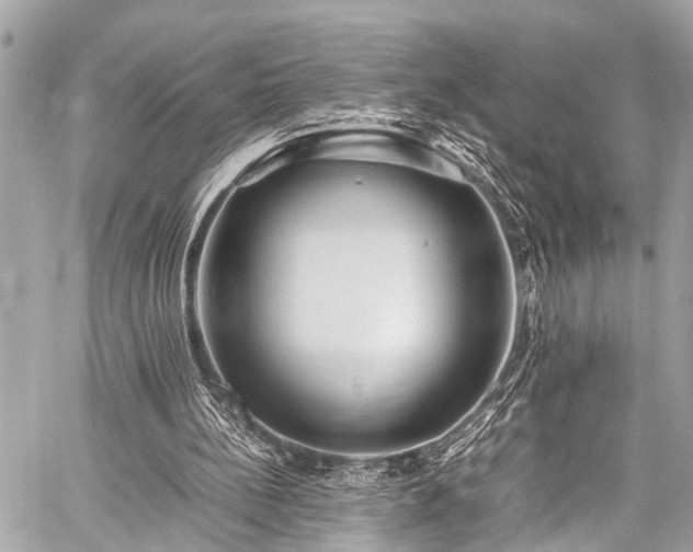 X0000059250148200510171506