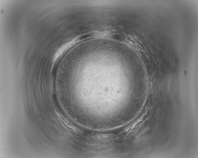 X0000059250149200510171506