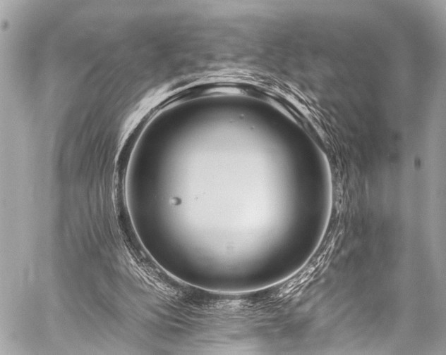 X0000059250152200510171506