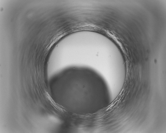 X0000059250154200510171506