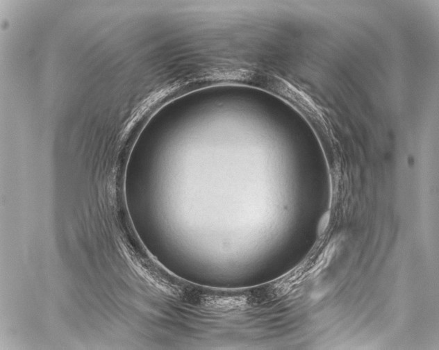 X0000059250155200510171506