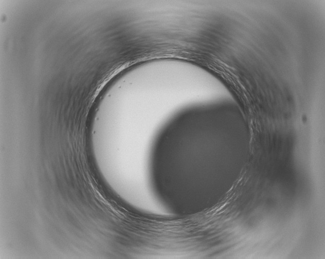 X0000059250156200510171506