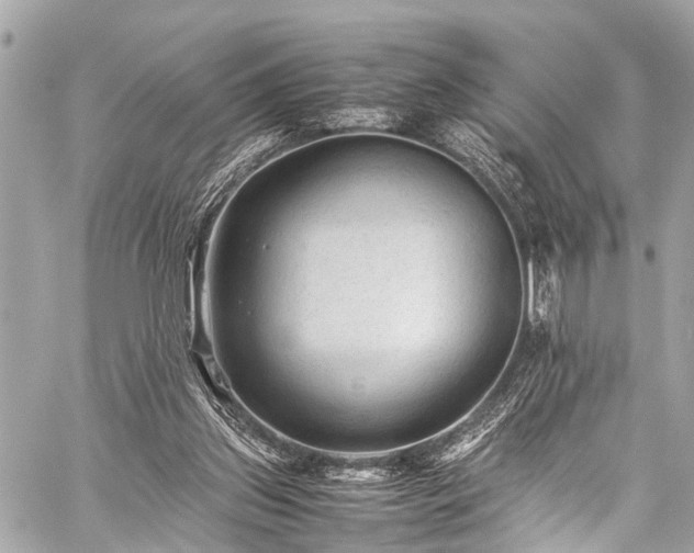 X0000059250157200510171506