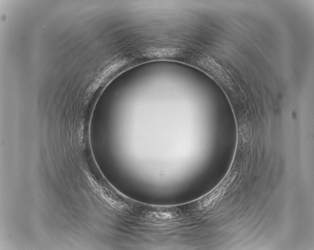 X0000059250159200510171507