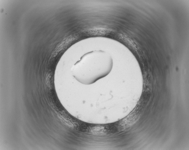 X0000059250162200510171507