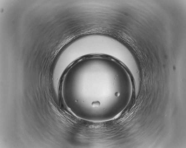 X0000059250164200510171507