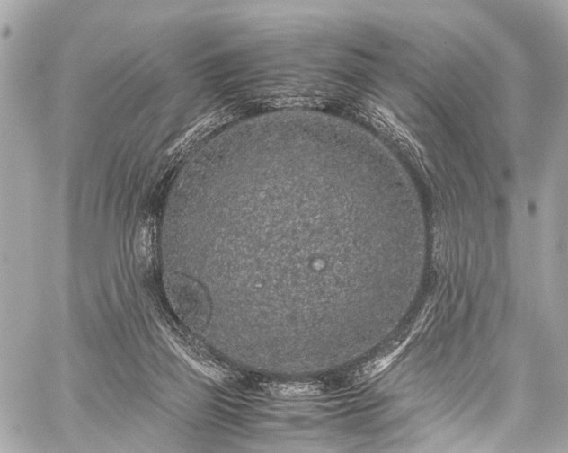 X0000059250165200510171507