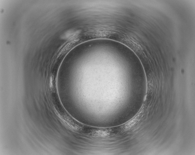 X0000059250166200510171507