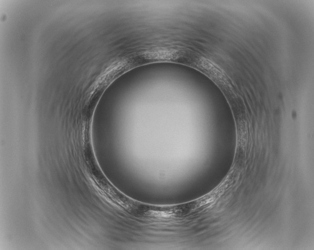 X0000059250167200510171507