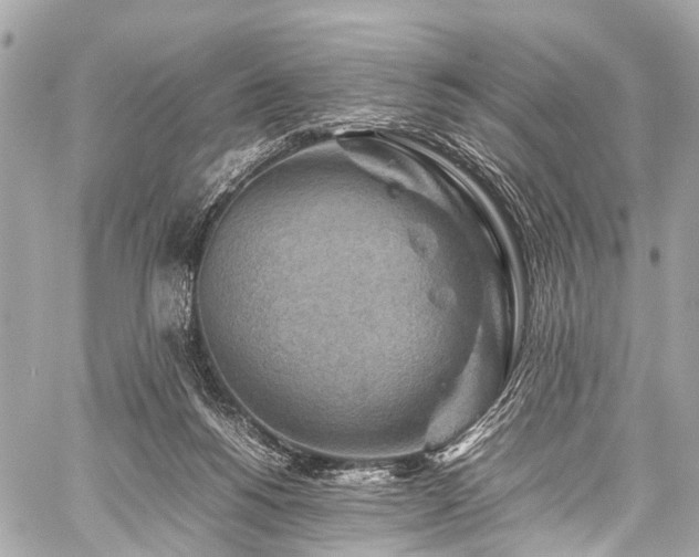 X0000059250168200510171507