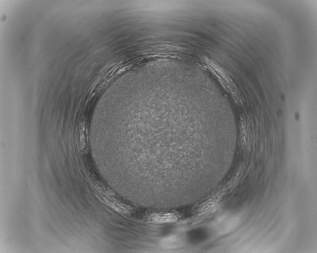 X0000059250169200510171507