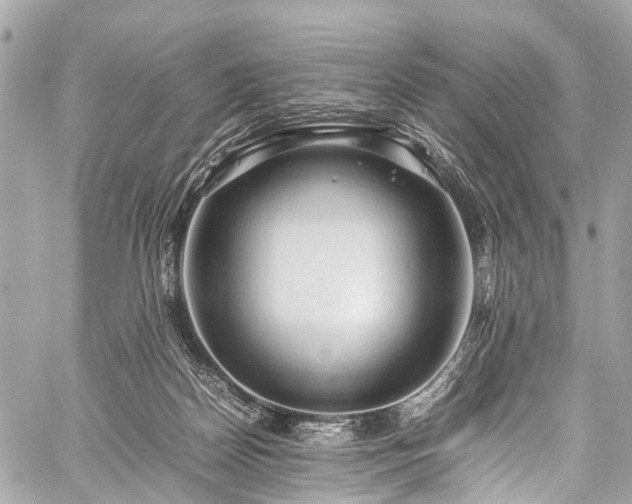 X0000059250170200510171507