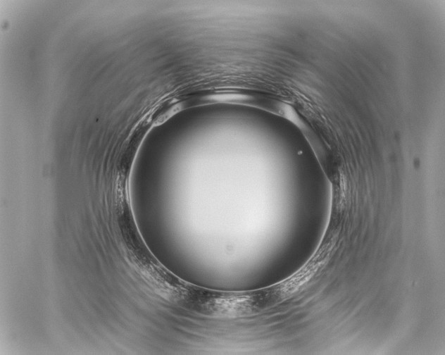 X0000059250172200510171507