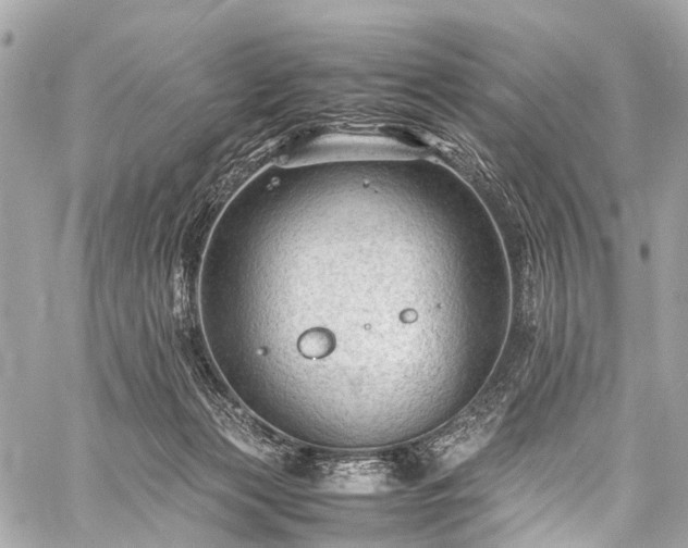 X0000059250173200510171507