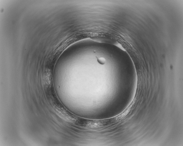 X0000059250174200510171507