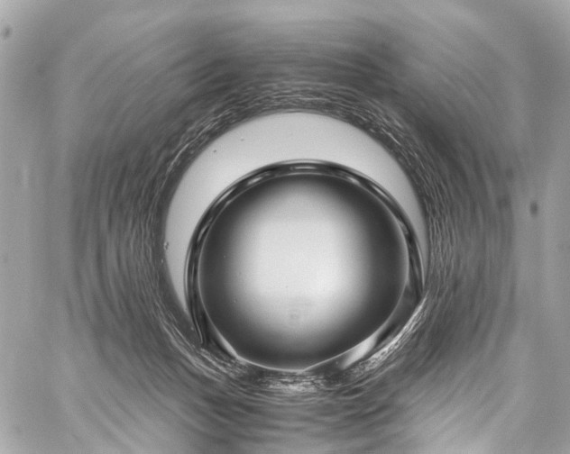 X0000059250175200510171507