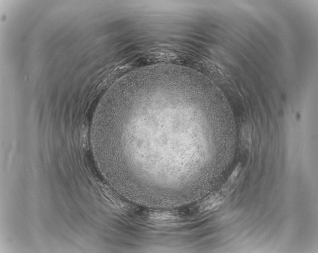 X0000059250177200510171507