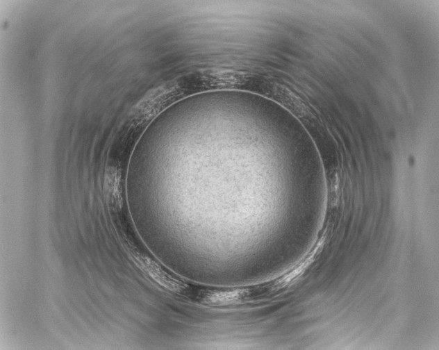 X0000059250178200510171507