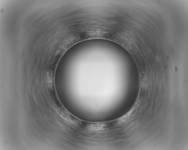 X0000059250179200510171507