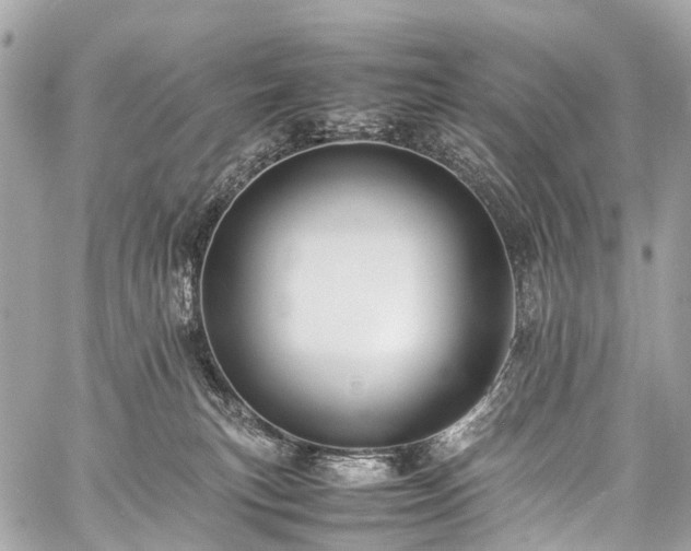 X0000059250183200510171507