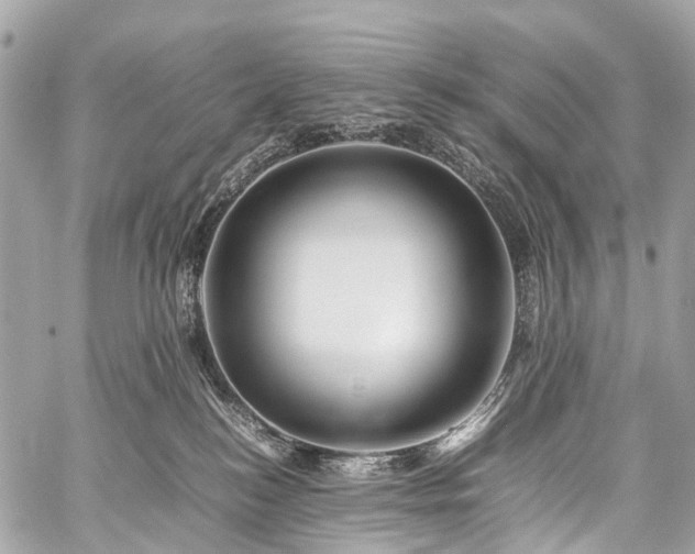 X0000059250184200510171507