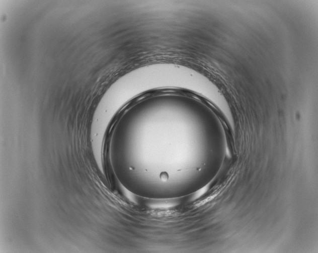 X0000059250185200510171507