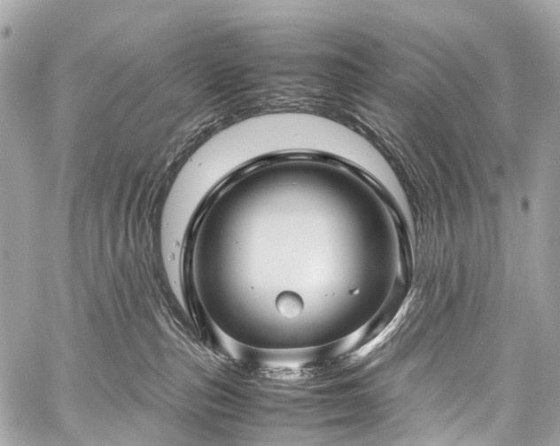 X0000059250187200510171507