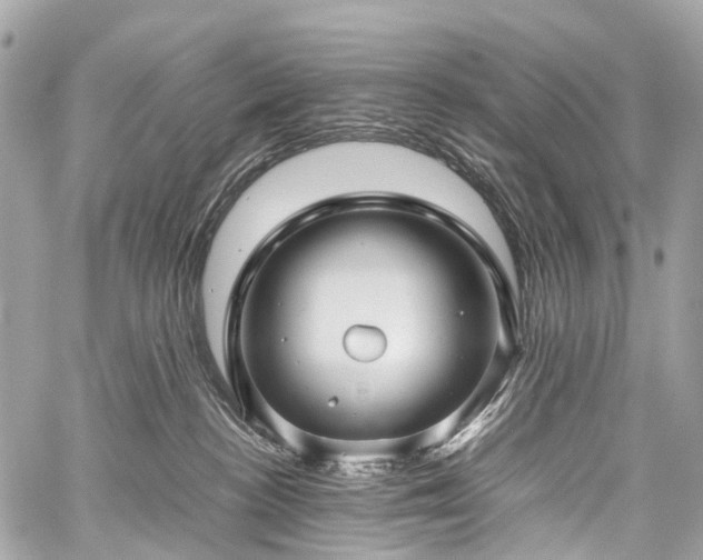 X0000059250188200510171507