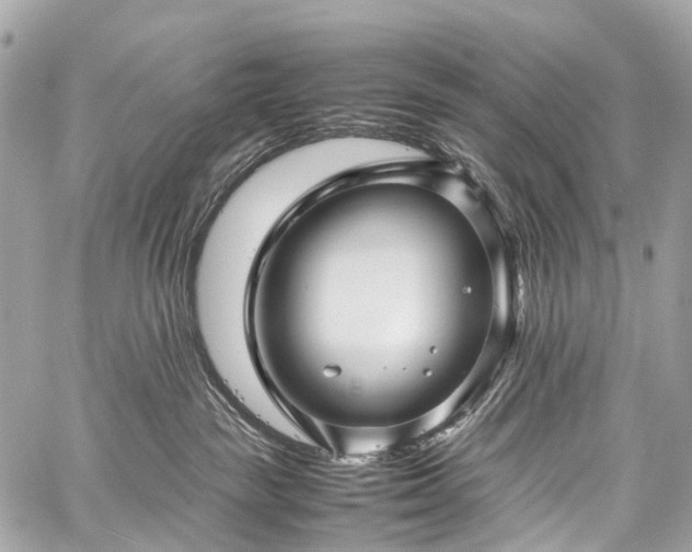 X0000059250189200510171507