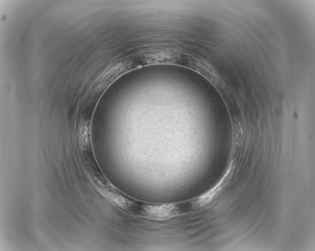 X0000059250191200510171507