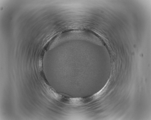 X0000059250192200510171507