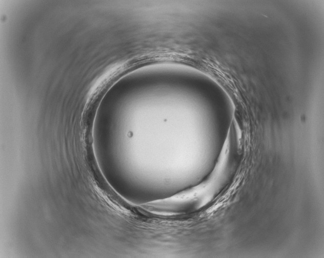 X0000059250197200510171506