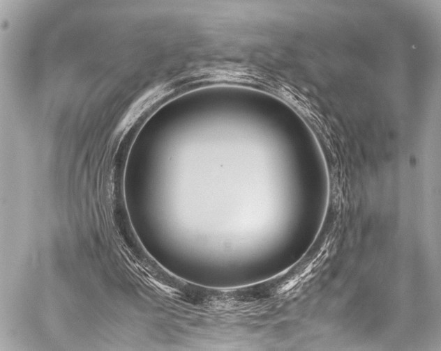 X0000059250199200510171506