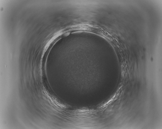 X0000059250200200510171506