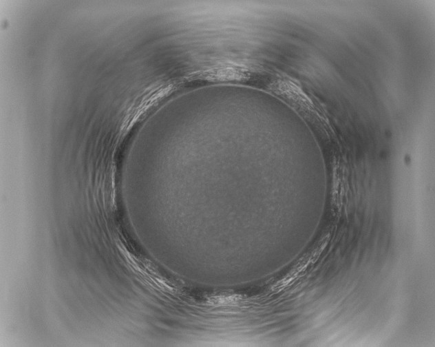 X0000059250202200510171506