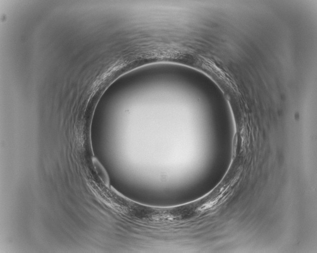 X0000059250203200510171506