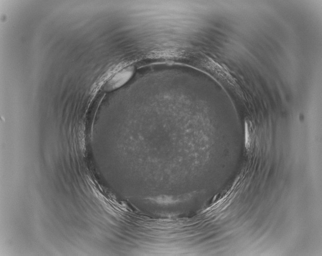 X0000059250204200510171506