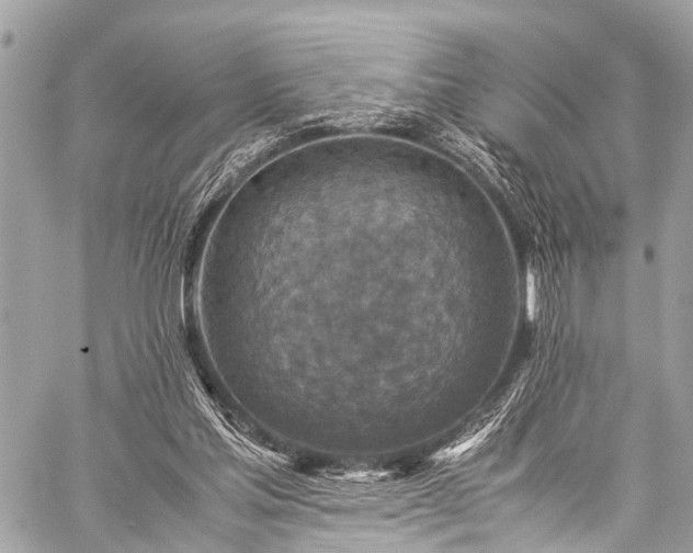 X0000059250205200510171506