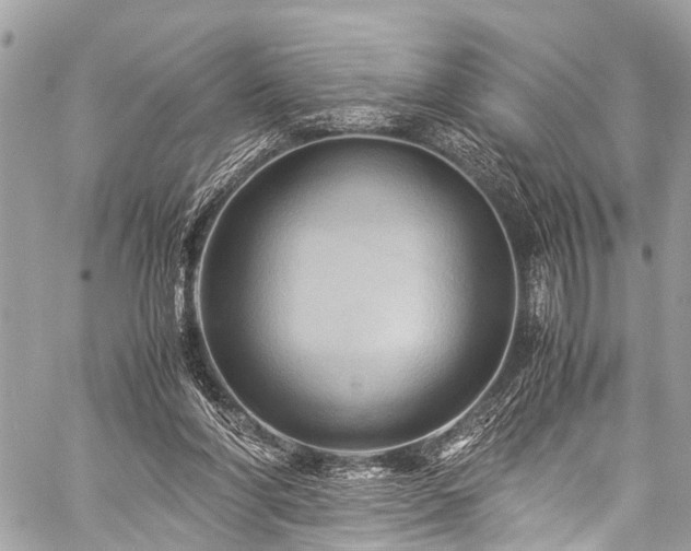 X0000059250206200510171506