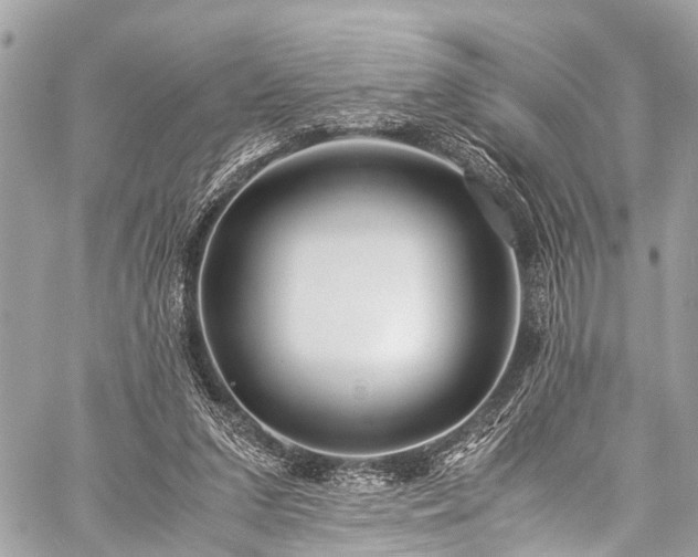 X0000059250207200510171506