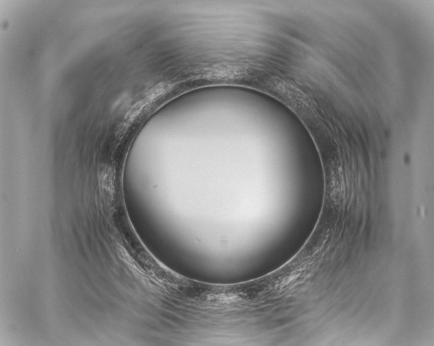 X0000059250208200510171506