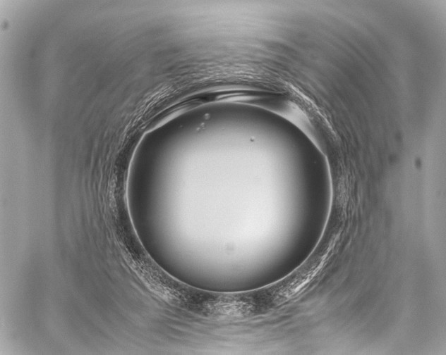 X0000059250209200510171506