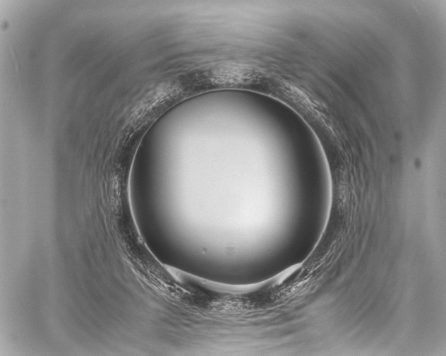 X0000059250211200510171506